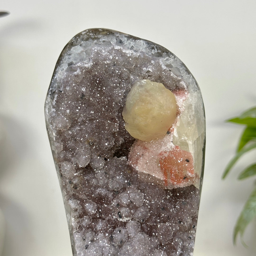 Natural Rare Sugar Amethyst Crystal Cluster on Stand - MWS3389
