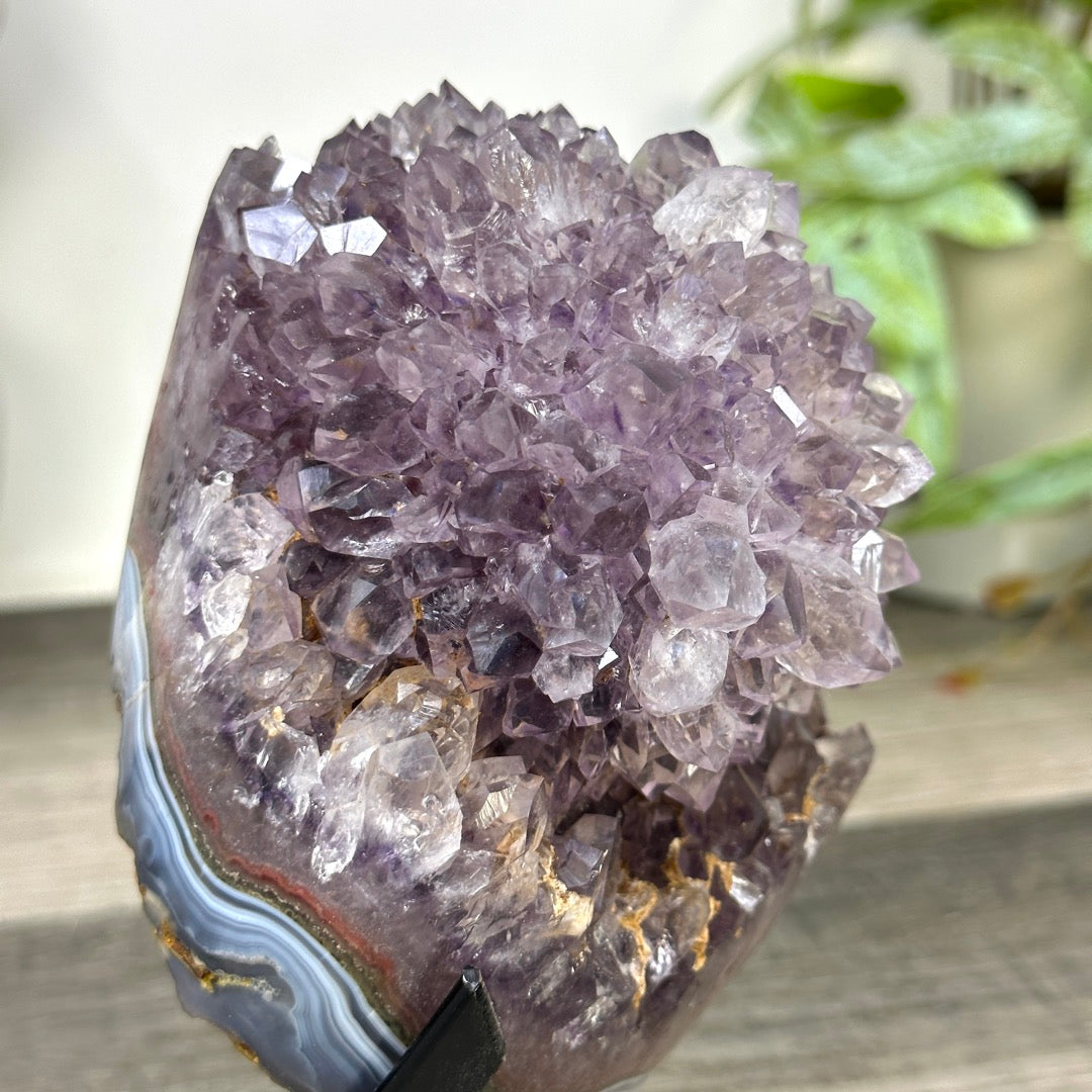 Natural Amethyst Stalactite Flower Formation on Stand - MWS3285