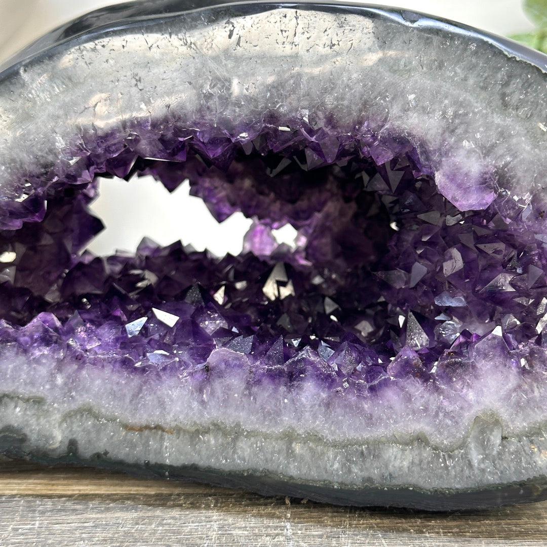 Xl Natural Amethyst Geode with Agate Shell - STGE0072