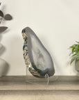 Natural Blue Banded Agate Slice - SLC0020