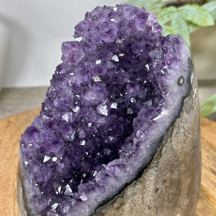 Natural Amethyst Geode Cathedral Geode from Uruguay - CBP1296