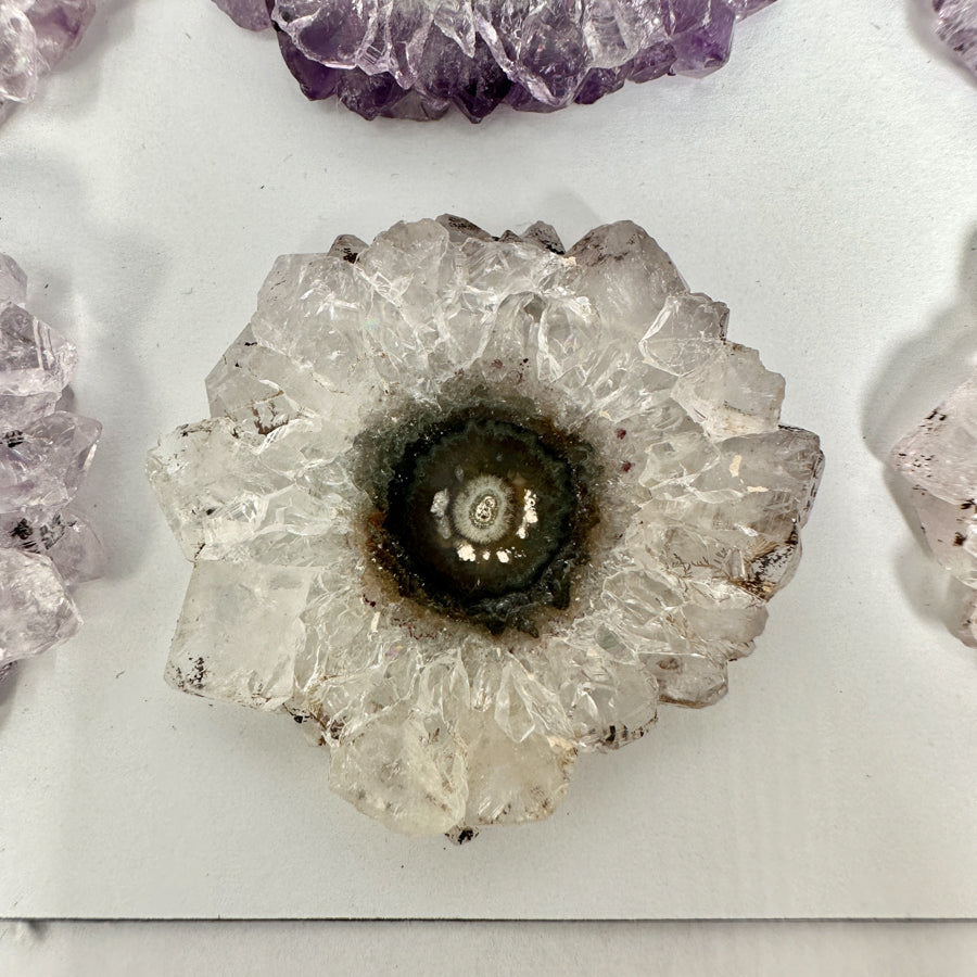 Unique Amethyst Stalactite Slices Set - Natural Crystal for Handmade Jewelry - STS0082