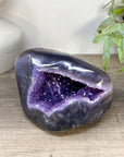 Natural Amethyst Geode with Agate Shell - STGE0098