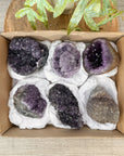 Mineral Specimens Lot - MSLT0206