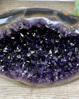 Natural Deep Purple Amethyst Geode with Agate Shell - STGE0102