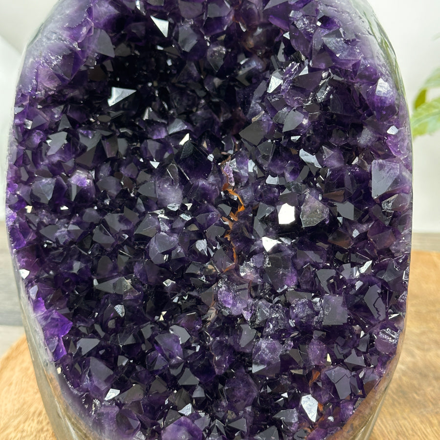 Large Deep Purple Amethyst Cathedral Geode - CBP1305
