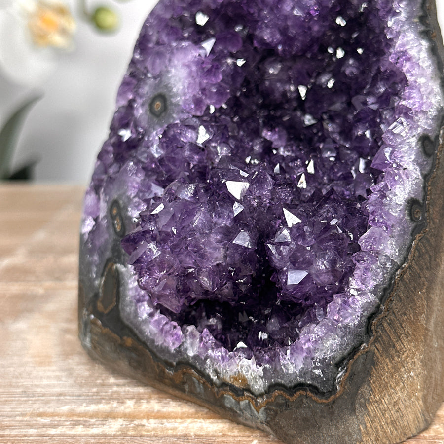 Stunning Natural Amethyst Cathedral Geode with Stalactite Formaitons - CBP1099