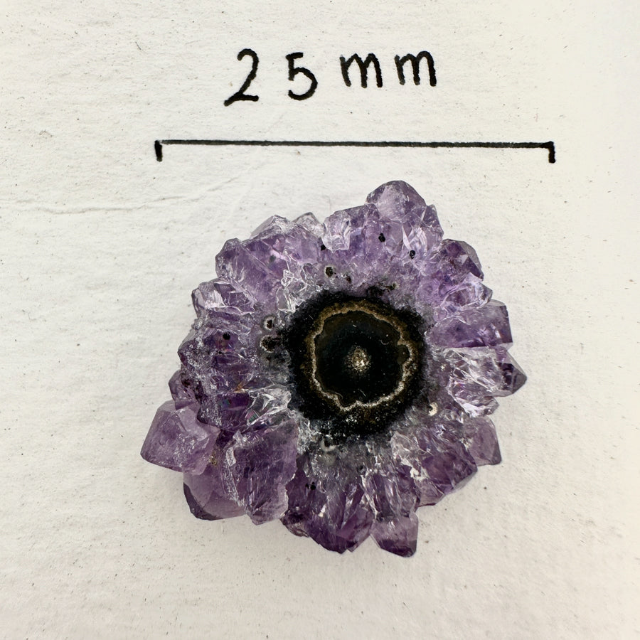 Wholesale Stalactite Slices for Jewelry Making - Bulk Flat Set - STS0051