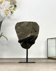 Amethyst Geode with Quartz Shell– Natural Specimen on Stand - MWS2861