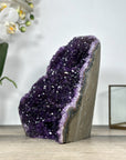 XL Natural Amethyst Selfstanding Cathedral - CBP1276
