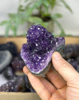 Mineral Specimens Lot - MSLT0221