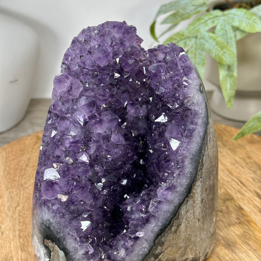 Natural Amethyst Geode Cathedral Geode from Uruguay - CBP1296