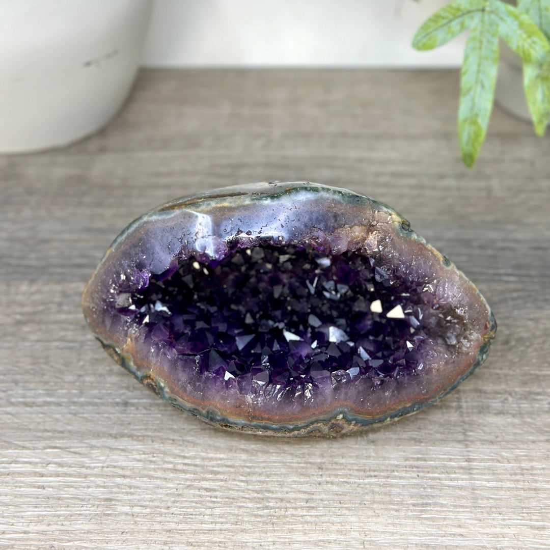 Amethyst Geode with Deep purple Crystals &amp; Polished Shell - STGE0119