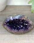 Amethyst Geode with Deep purple Crystals & Polished Shell - STGE0119