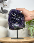 Deep Purple Natural Uruguayan Amethyst Cluster - Top Quality Specimen - MWS3059