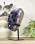 Top Grade Uruguayan Amethyst with Deep Purple Large Crystals on Stand - MWS3281