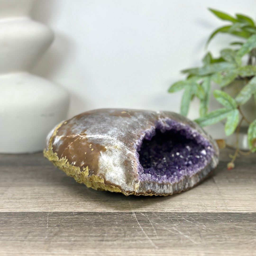 Natural Amethyst Geode with Polished Quartz Shell - STGE0049