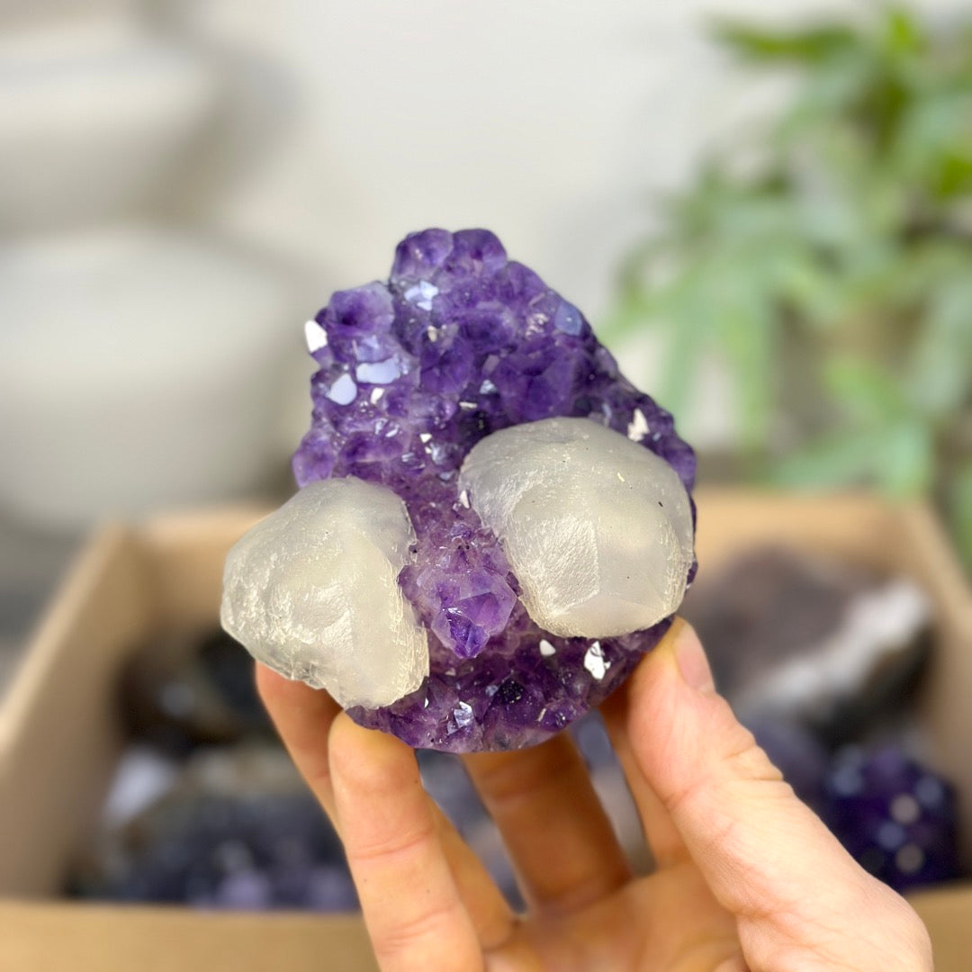Mineral Specimens Lot - MSLT0227
