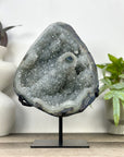 Natural Green Tone Quartz Geode with Stalactite Formations - MWS3362