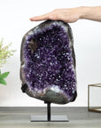15.7 in High Huge A grade Uruguayan Amethyst with Deep Purple Crystals & Natural Calcite - MWS0349