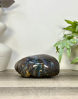 Natural Amethyst Geode with agate Shell - STGE0117