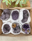 Mineral Specimens Lot - MSLT0210