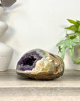 Uruguayan Amethyst Geode with Polished Shell - STGE0120