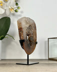 Rare Quartz Portal on Metal Stand with Green tone Druzy Crystals - MWS2902