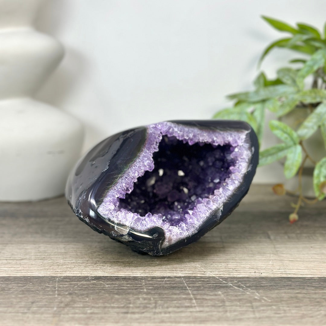 Uruguayan Amethyst geode with agate Shell - STGE0044