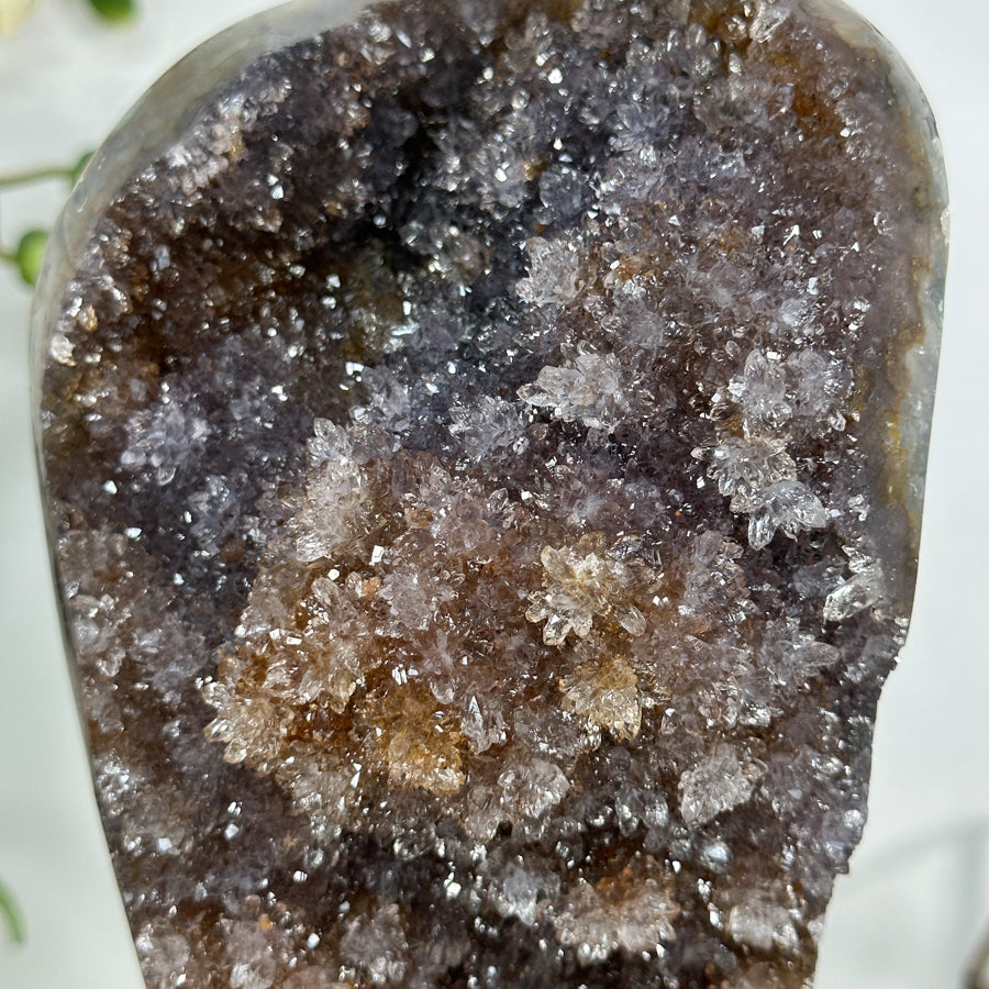 Beautiful Natural Ametrine Druzy with Stalactite Formations - MWS2098