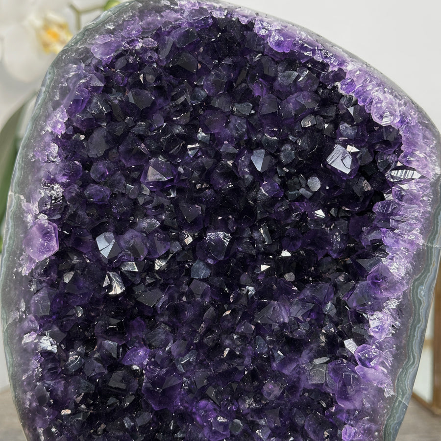Amethyst Crystal Cluster on Stand - Deep Purple Mineral Specimen for Home Decor - MWS2617