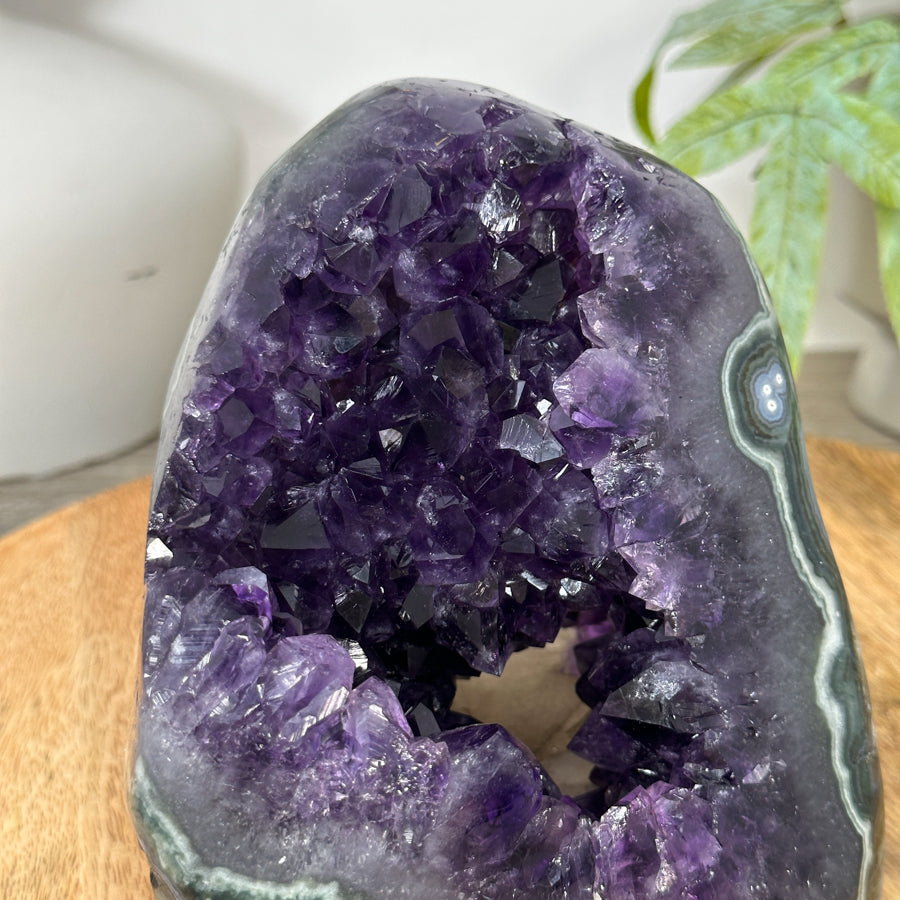 Deep Purple Deep Purple Amethyst with Green Jasper Shell - CBP1295