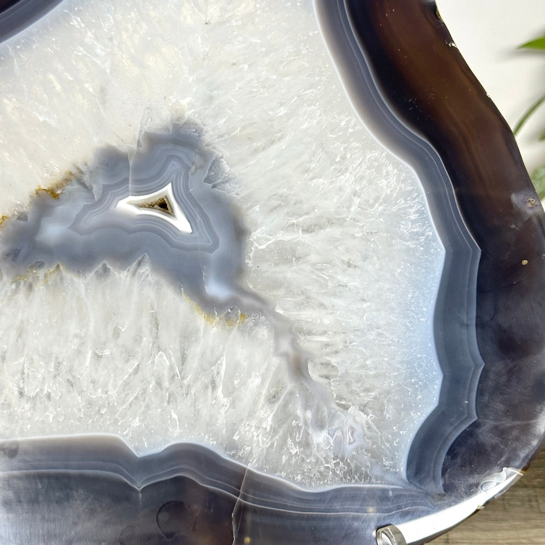 Polished Blue Banded Agate Slice - SLC0024