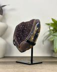 Natural Druzy Amethyst Geode with Agate Shell - MWS3337