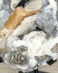 Quartz Crystal with Calite Geode on Stand Mineral Specimen