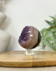 Uruguayan Amethyst Druzy Sphere Geode - SPH0228