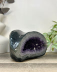 Xl Natural Amethyst Geode with Agate Shell - STGE0072