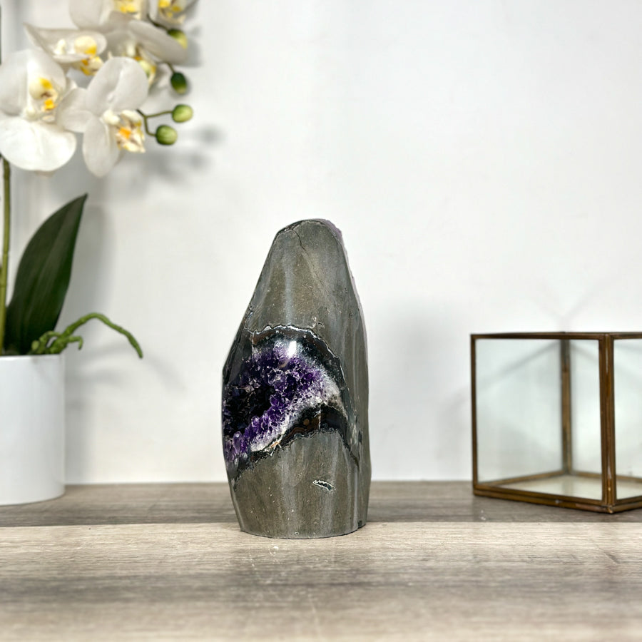 Amethyst Crystal Cluster Geode – Dark Purple for Collector Display - CBP1250