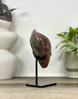 Natural Fire Quartz Cluster on Stand - MWS3369