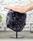 Top Grade Amethyst Crystal Cluster with Stunning Jaspes Shell - MWS0420