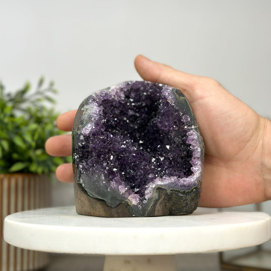 Amethyst Crystal Geode with Cut Base - CBP1167
