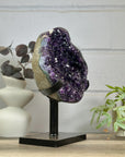 Huge Natural Deep Purple Amethyst Geode on Stand - MWS3142