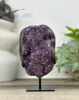 Uruguayan amethyst Geode with Quartz Shell on Stand - MWS3306