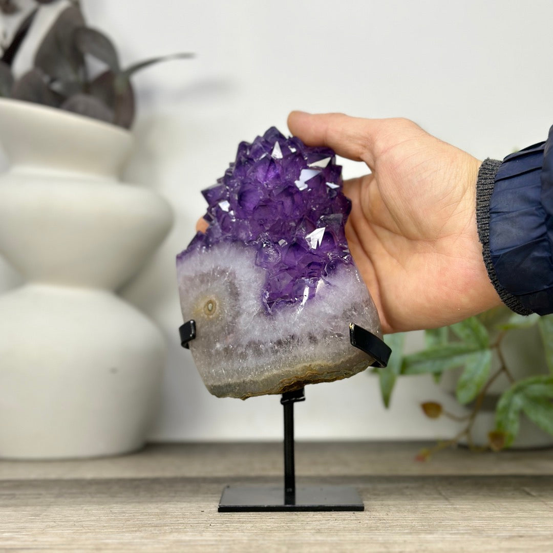 Uruguayan Amethyst Cluster with Large &amp; Shinny Crystals - MWS3308