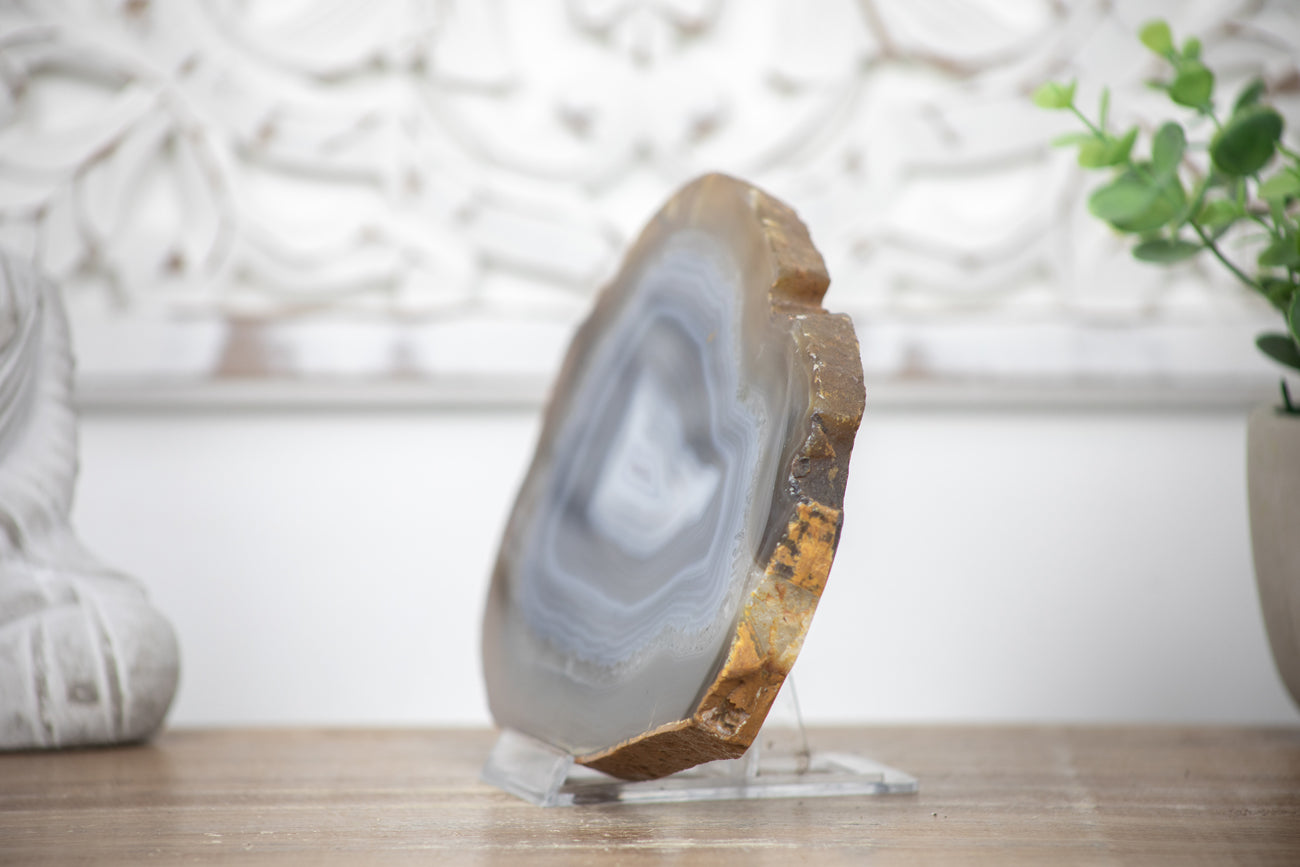 Natural Blue Banded Agate Slice - SLC0003