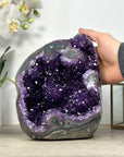Large Amethyst Geode with Beautiful Stalactite Formations - CBP1223