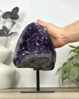 Natural Amethyst Crystal Cluster Statement Piece - MWS3200