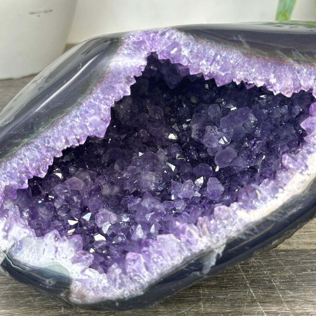 Uruguayan Amethyst geode with agate Shell - STGE0044