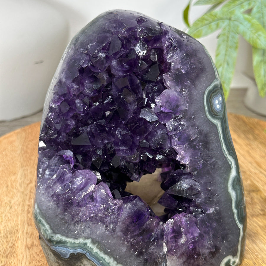 Deep Purple Deep Purple Amethyst with Green Jasper Shell - CBP1295