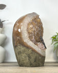 Natural Uruguayan Amethyst Cathedran Cave with tunning Green Jasper Shell - CBP1406